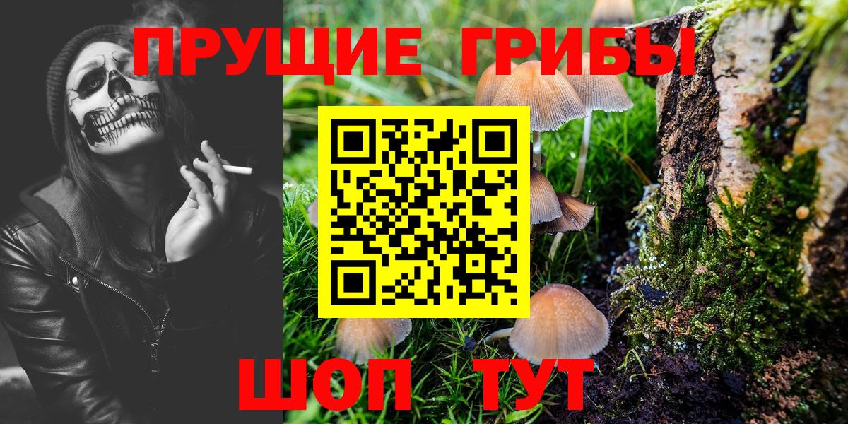 Галлюциногенные грибы мухоморы Гусь-Хрустальный