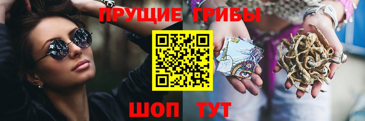Галлюциногенные грибы прущие грибы  Вход с VPN  Гусь-Хрустальный 